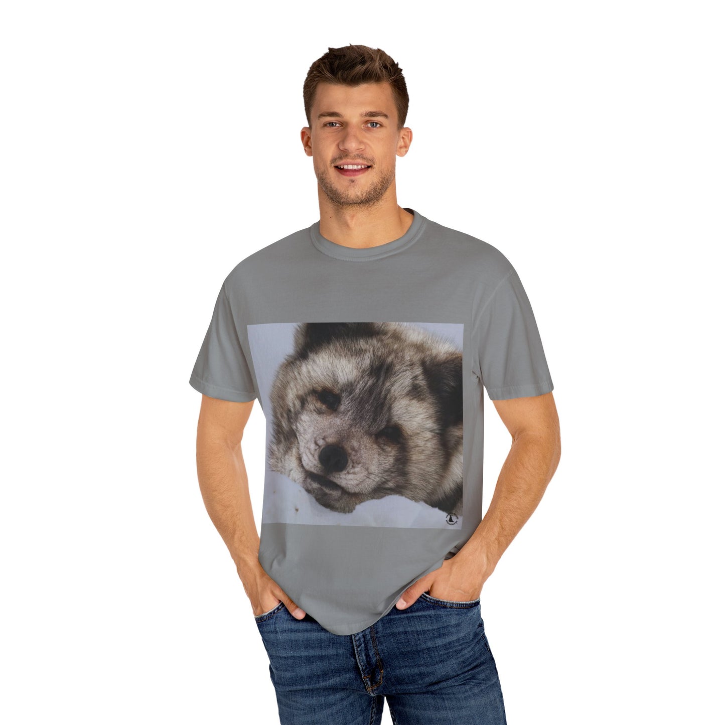 Arctic Tranquility: Serene Wildlife Portrait, Arctic Fox Close-Up Photographyphotography shirts