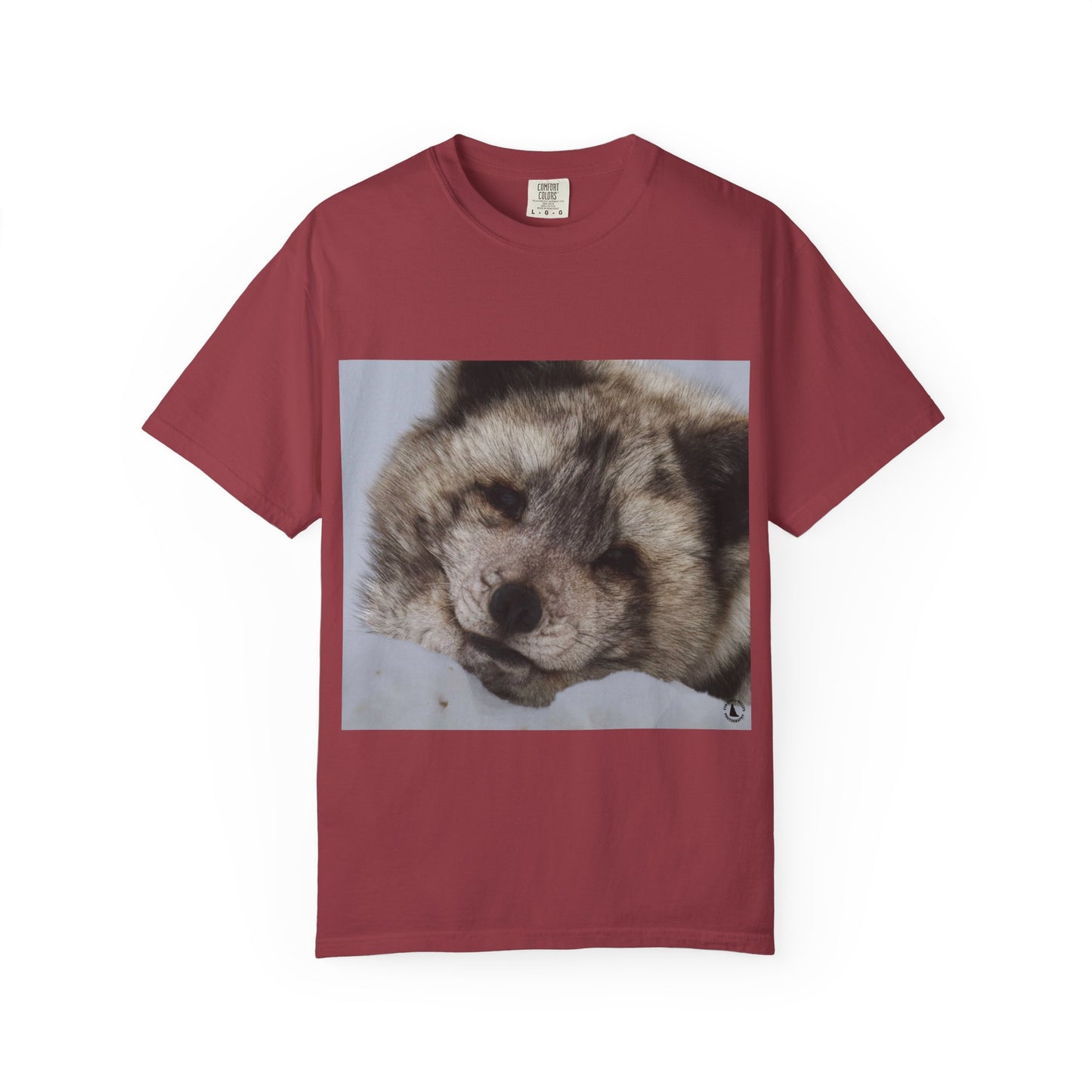 Arctic Tranquility: Serene Wildlife Portrait, Arctic Fox Close-Up Photographyphotography shirts