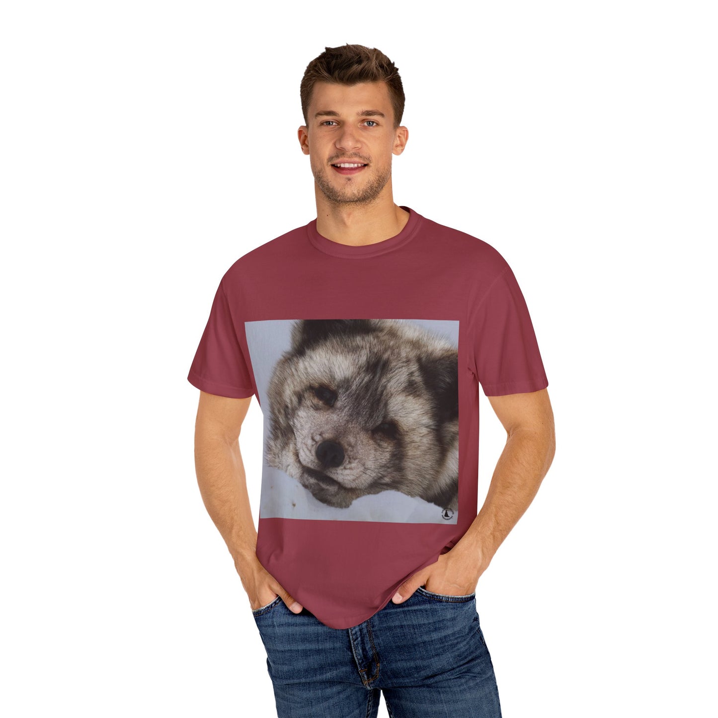 Arctic Tranquility: Serene Wildlife Portrait, Arctic Fox Close-Up Photographyphotography shirts