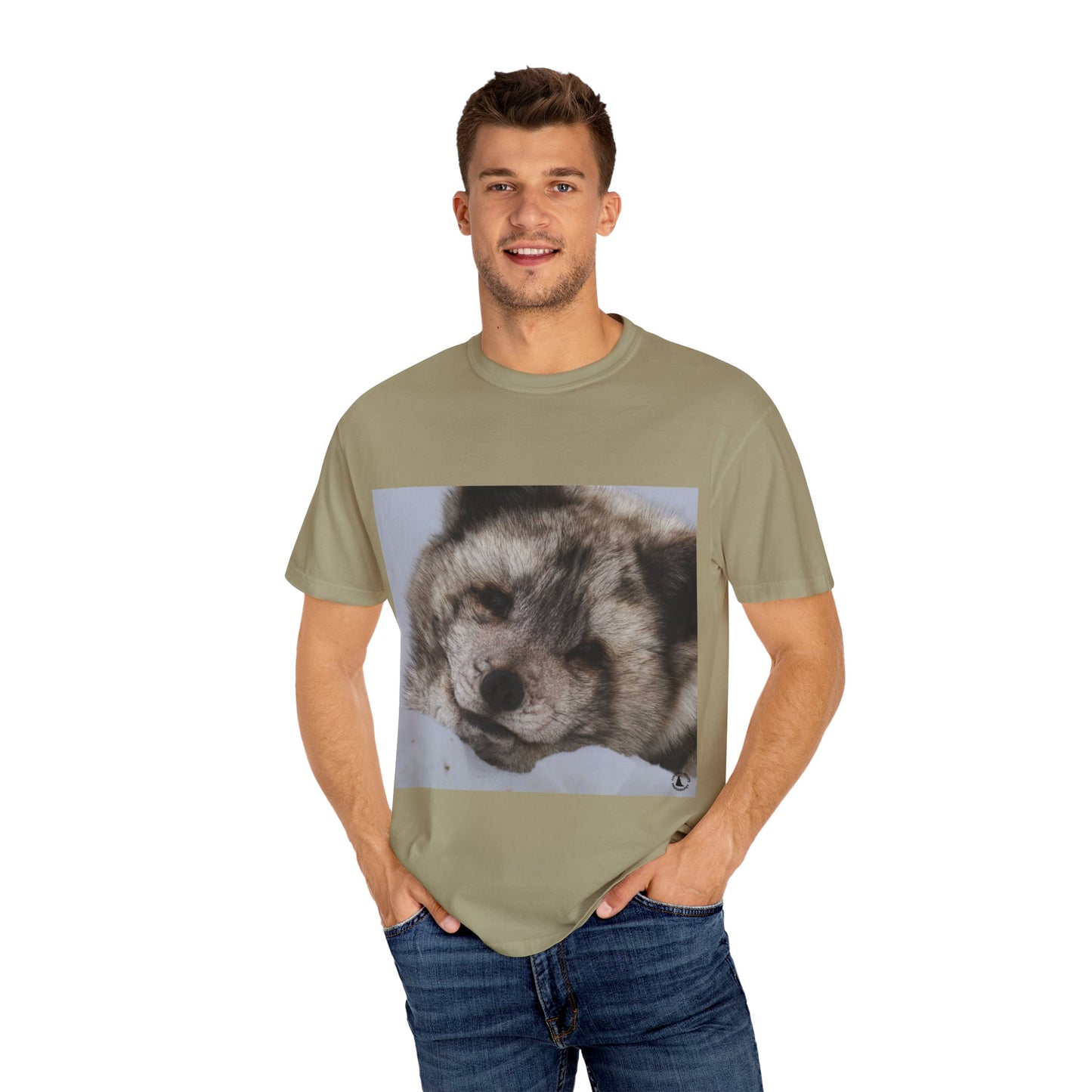 Arctic Tranquility: Serene Wildlife Portrait, Arctic Fox Close-Up Photographyphotography shirts