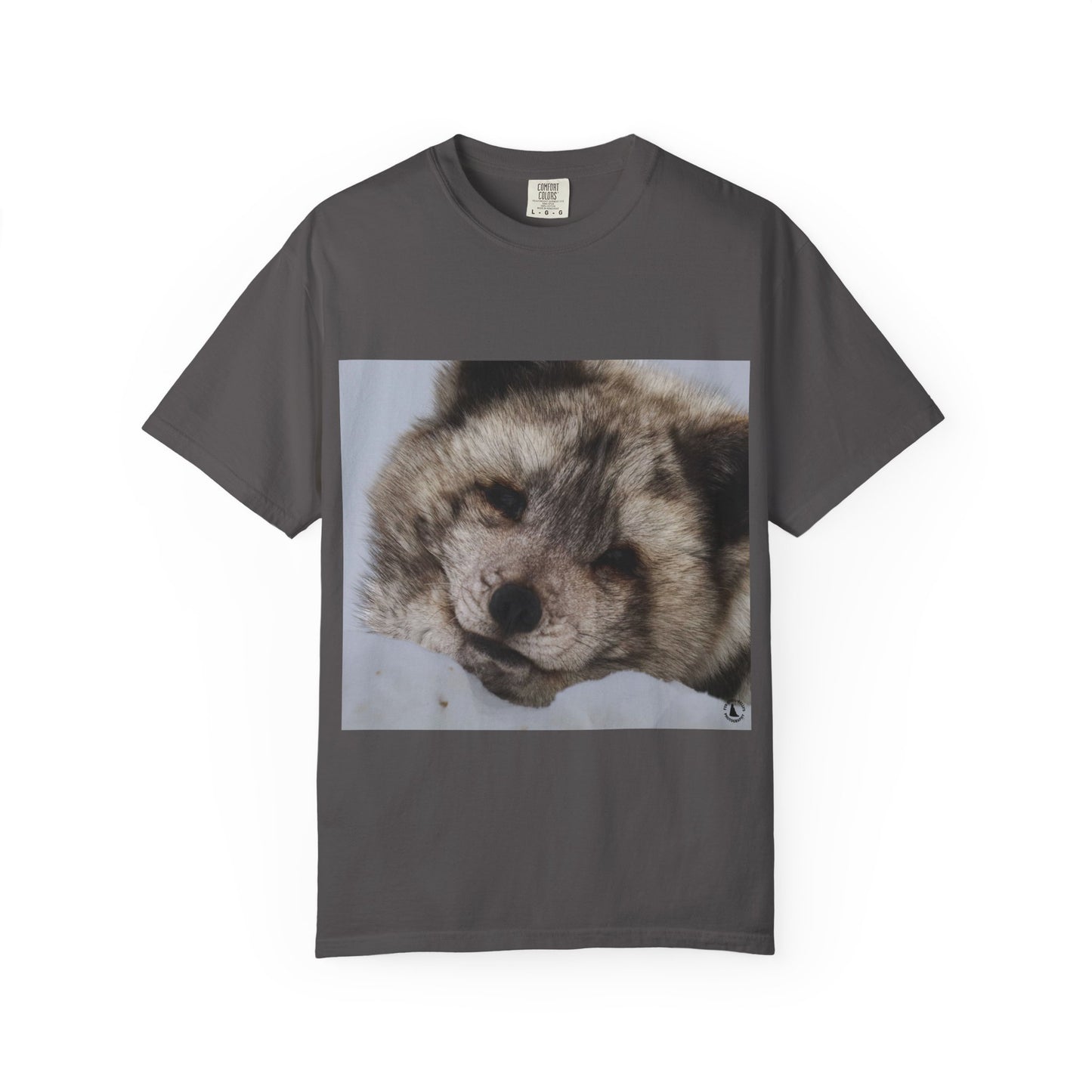Arctic Tranquility: Serene Wildlife Portrait, Arctic Fox Close-Up Photographyphotography shirts