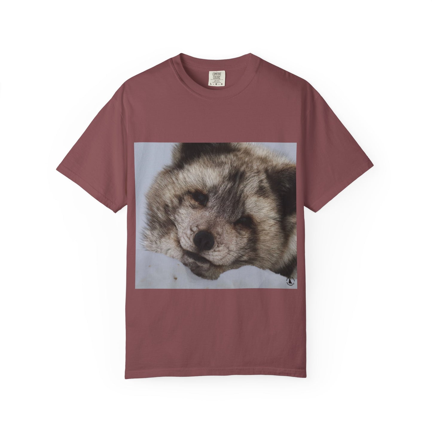 Arctic Tranquility: Serene Wildlife Portrait, Arctic Fox Close-Up Photographyphotography shirts