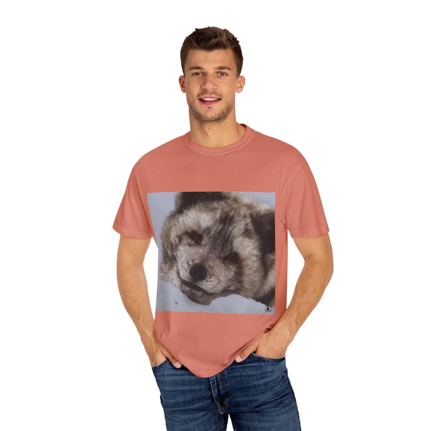 Arctic Tranquility: Serene Wildlife Portrait, Arctic Fox Close-Up Photographyphotography shirts