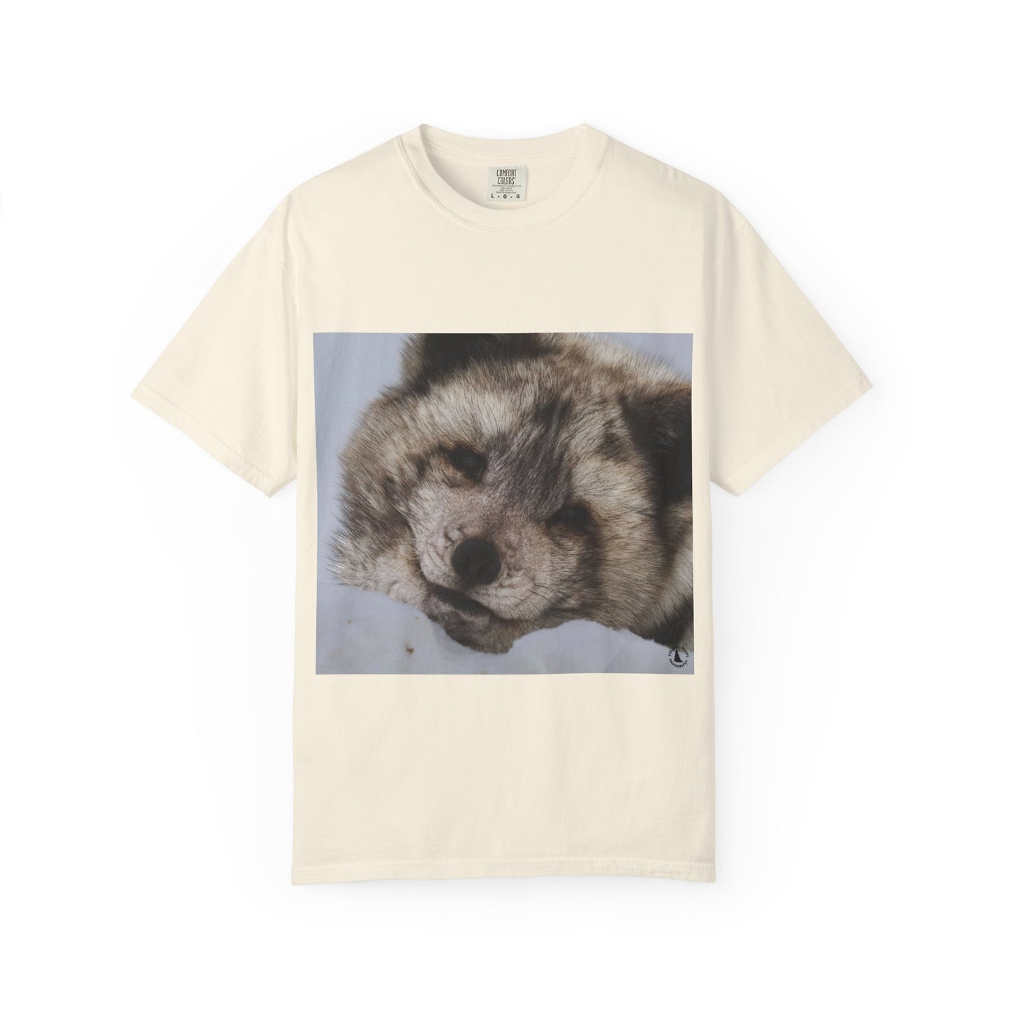 Arctic Tranquility: Serene Wildlife Portrait, Arctic Fox Close-Up Photographyphotography shirts