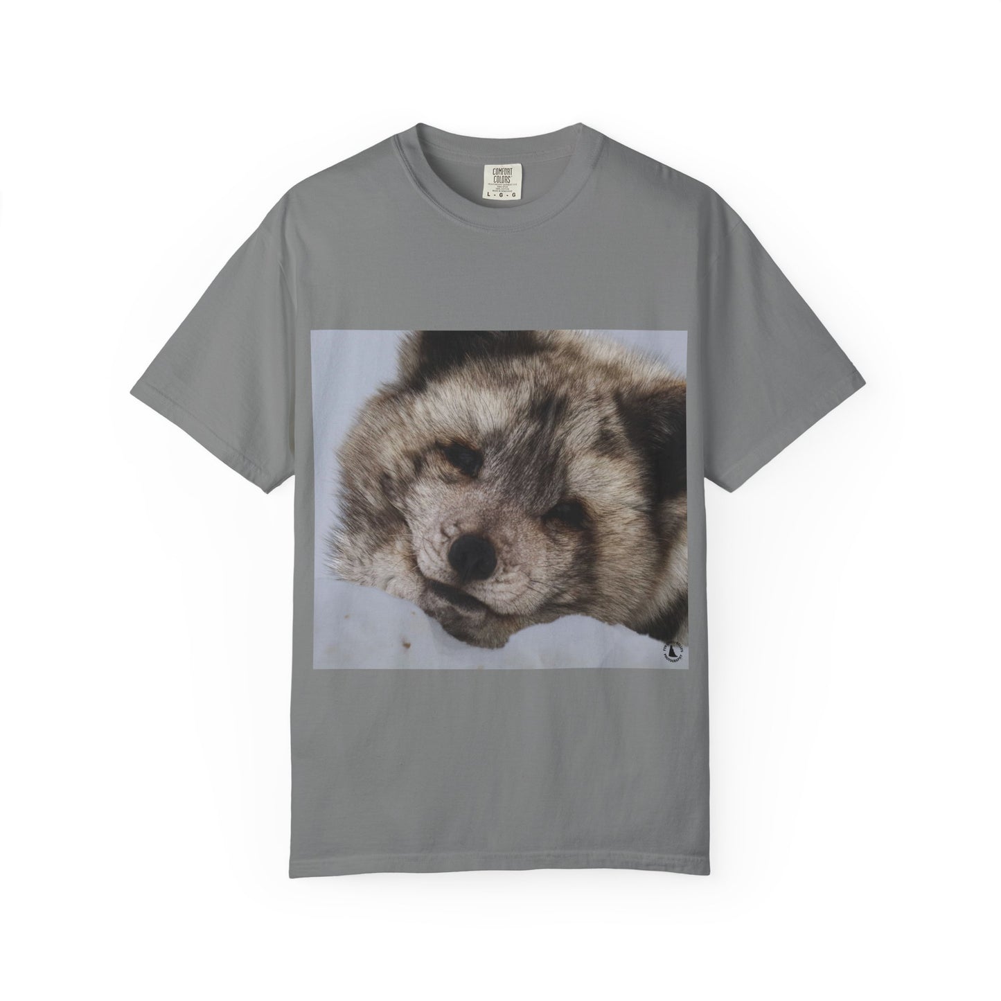 Arctic Tranquility: Serene Wildlife Portrait, Arctic Fox Close-Up Photographyphotography shirts