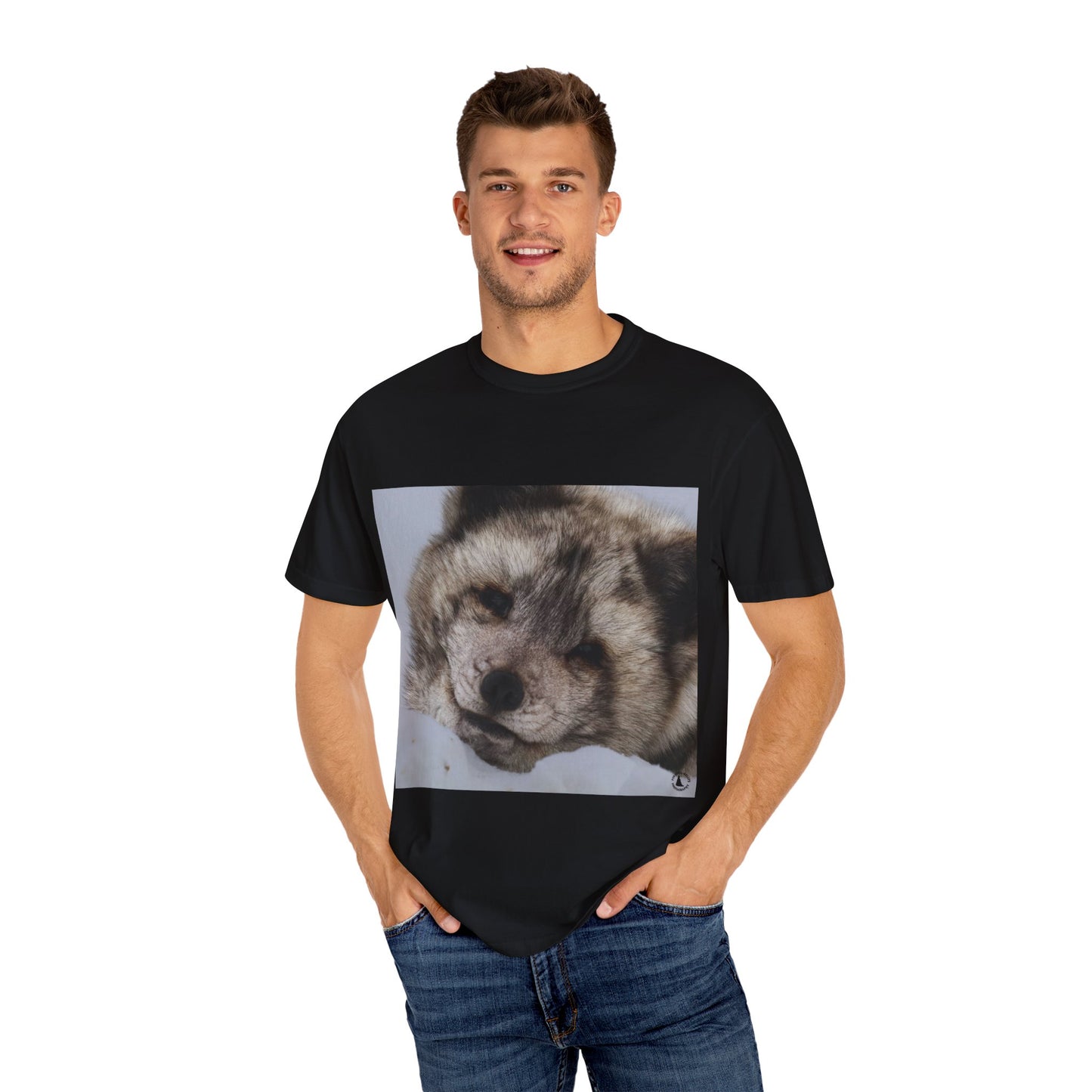 Arctic Tranquility: Serene Wildlife Portrait, Arctic Fox Close-Up Photographyphotography shirts