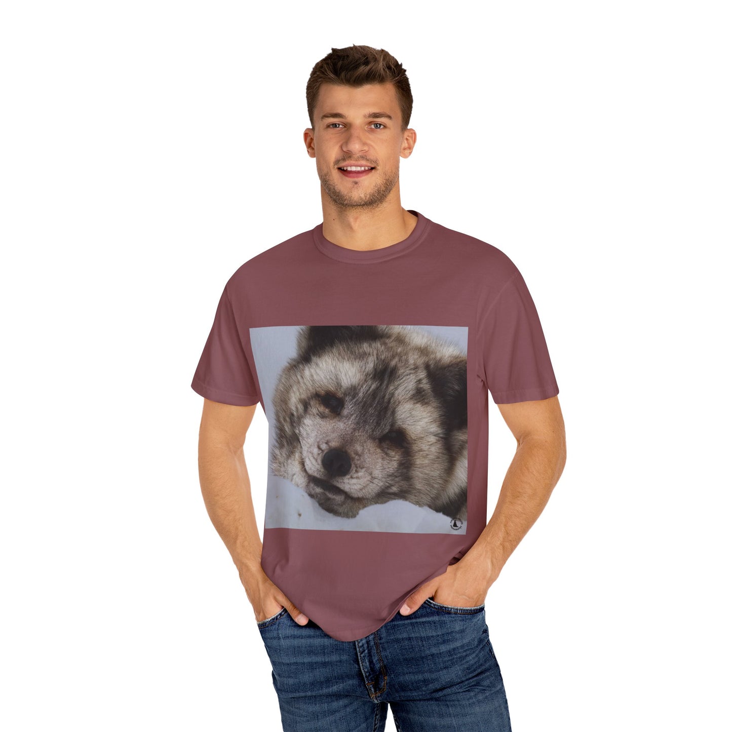Arctic Tranquility: Serene Wildlife Portrait, Arctic Fox Close-Up Photographyphotography shirts