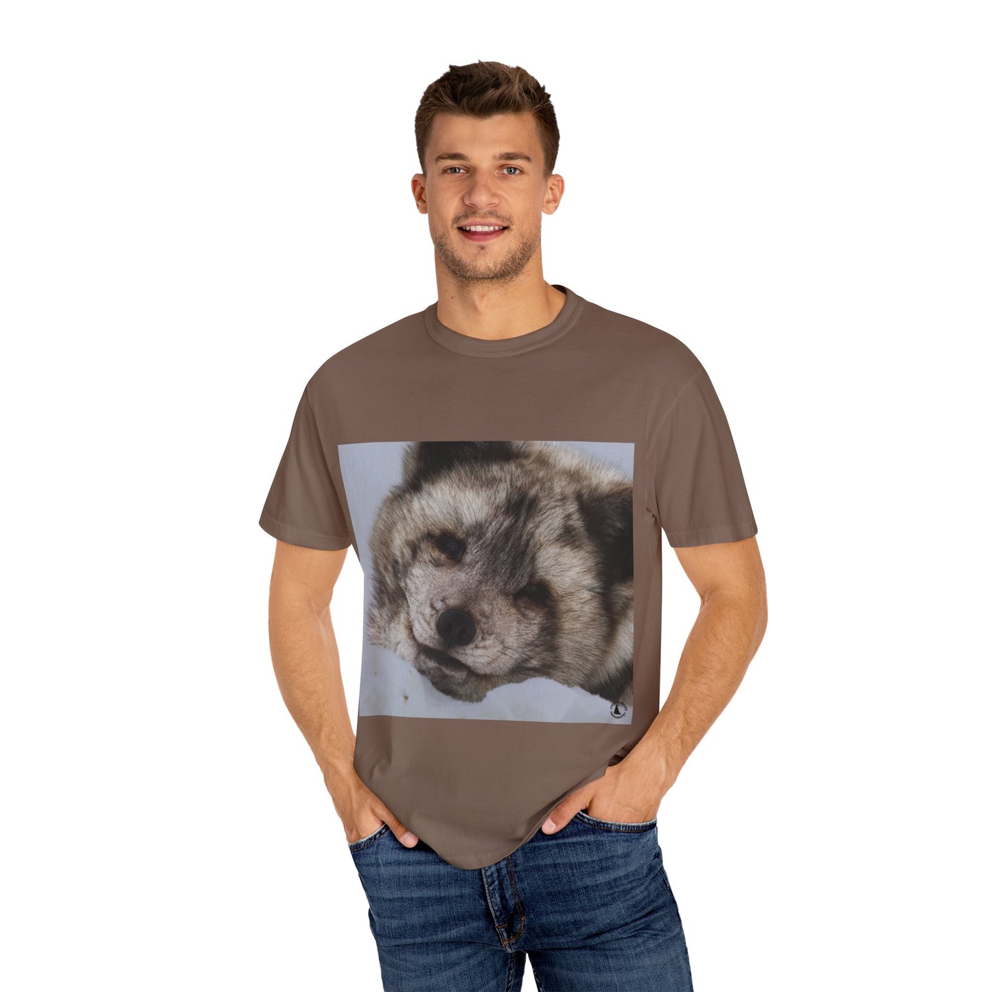 Arctic Tranquility: Serene Wildlife Portrait, Arctic Fox Close-Up Photographyphotography shirts