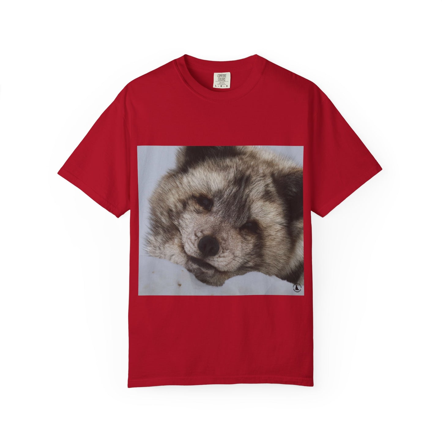 Arctic Tranquility: Serene Wildlife Portrait, Arctic Fox Close-Up Photographyphotography shirts