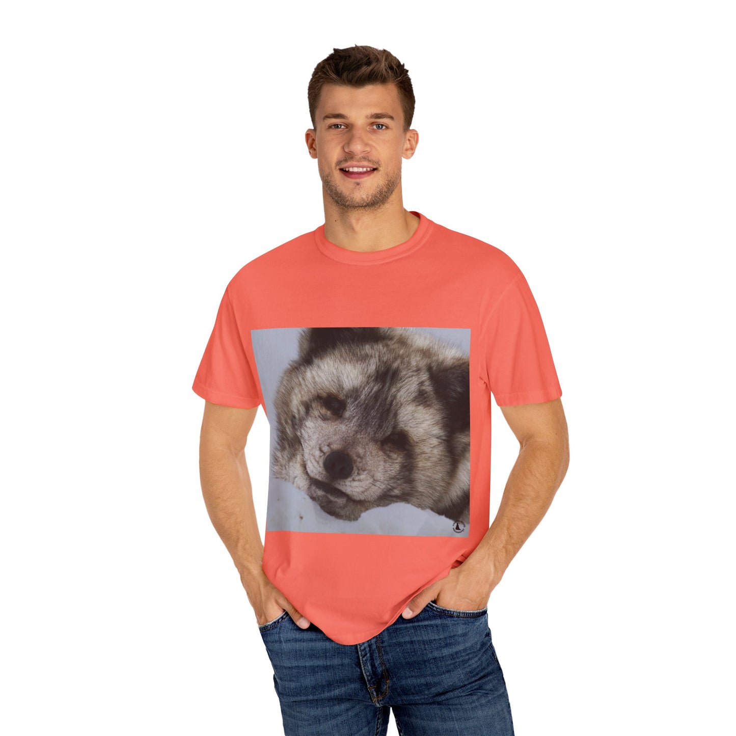 Arctic Tranquility: Serene Wildlife Portrait, Arctic Fox Close-Up Photographyphotography shirts