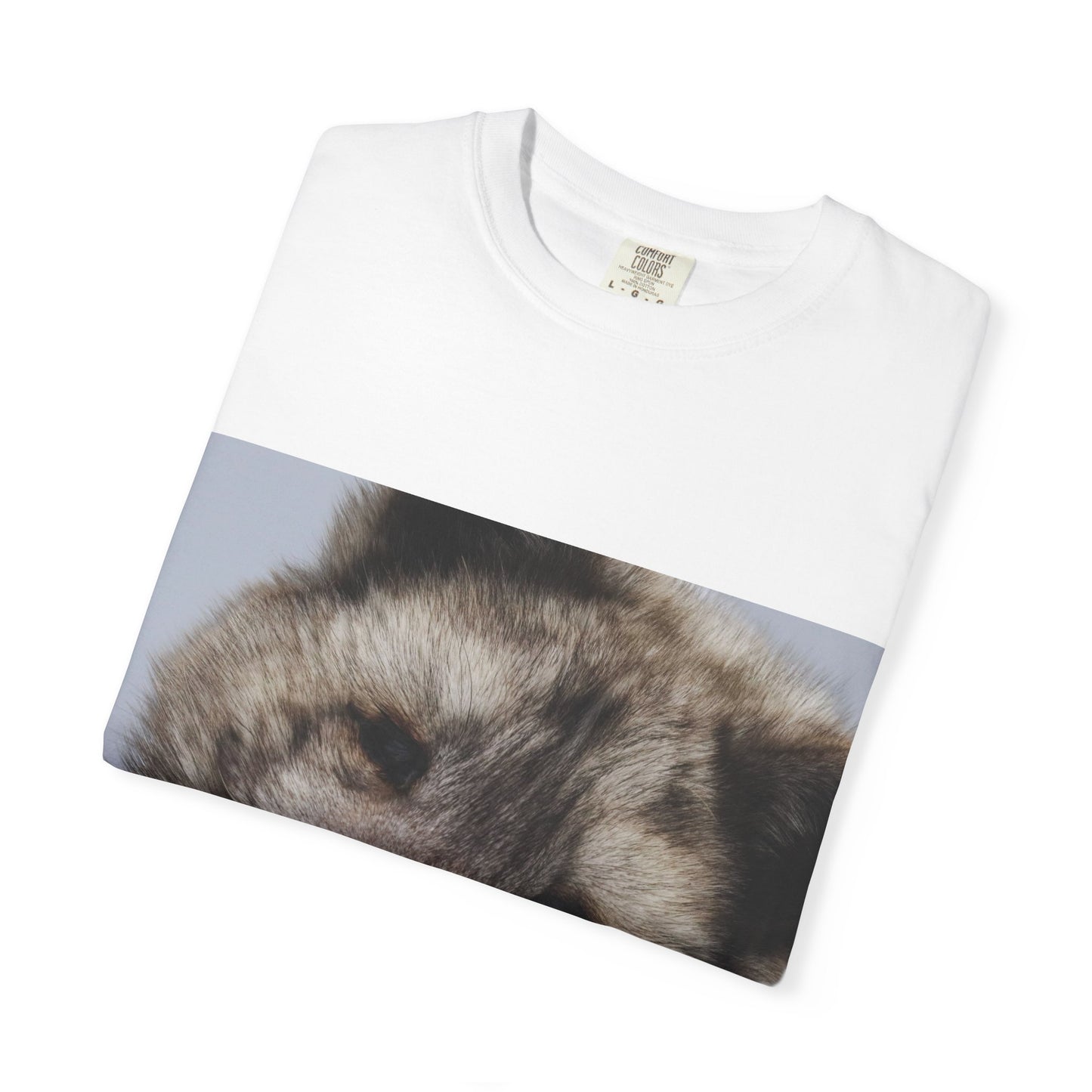 Arctic Tranquility: Serene Wildlife Portrait, Arctic Fox Close-Up Photographyphotography shirts