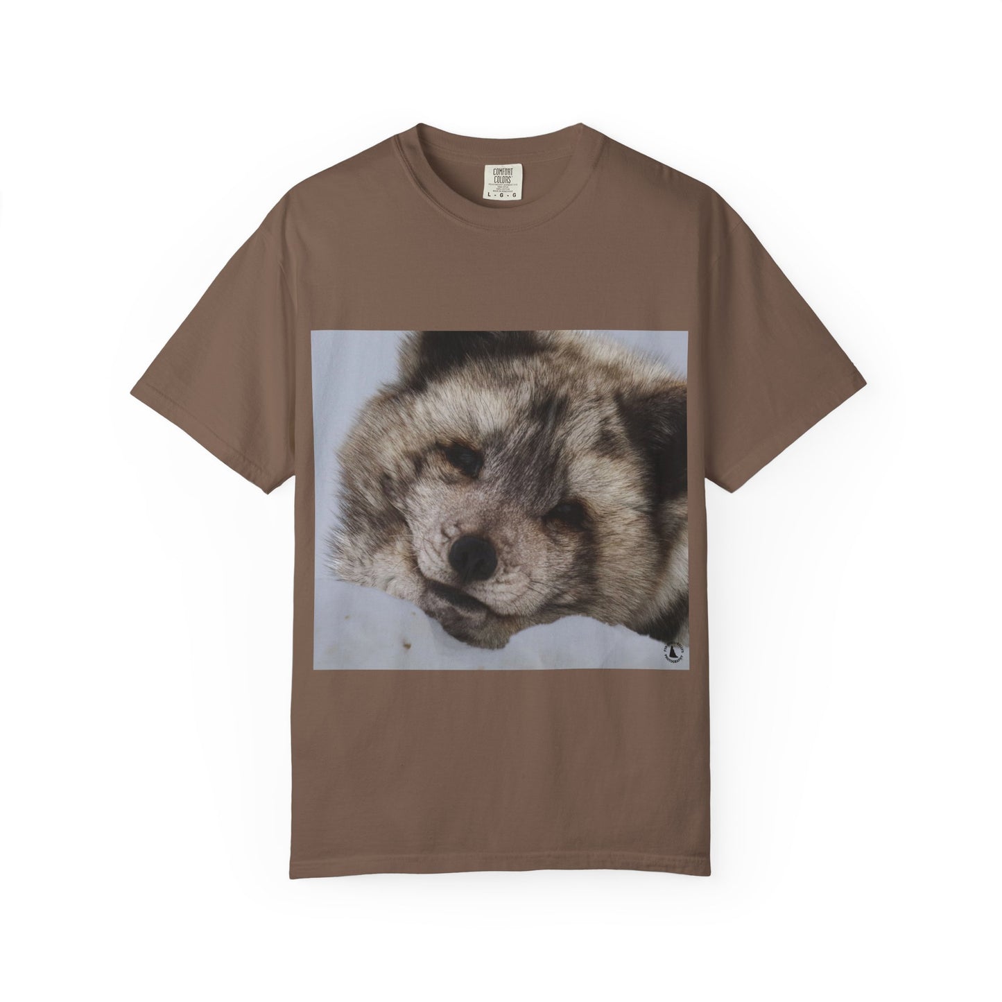 Arctic Tranquility: Serene Wildlife Portrait, Arctic Fox Close-Up Photographyphotography shirts