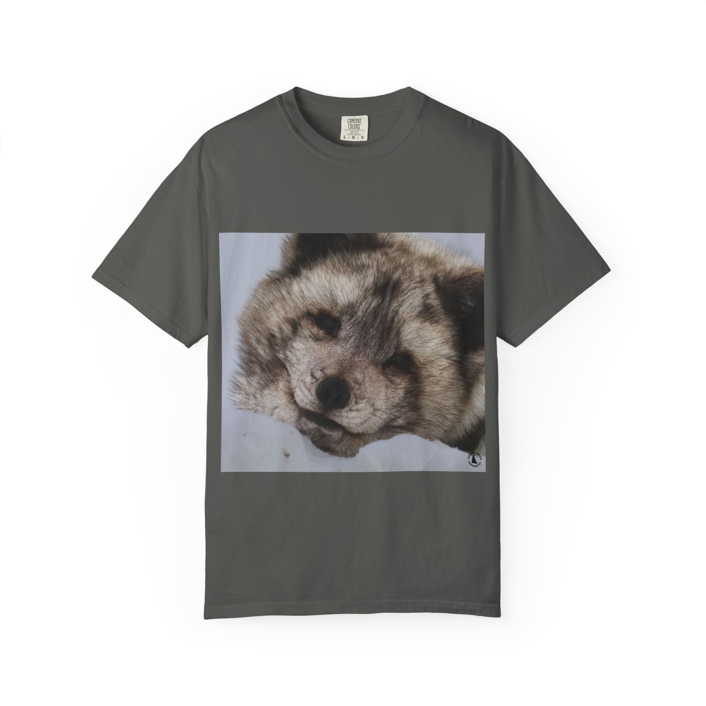 Arctic Tranquility: Serene Wildlife Portrait, Arctic Fox Close-Up Photographyphotography shirts
