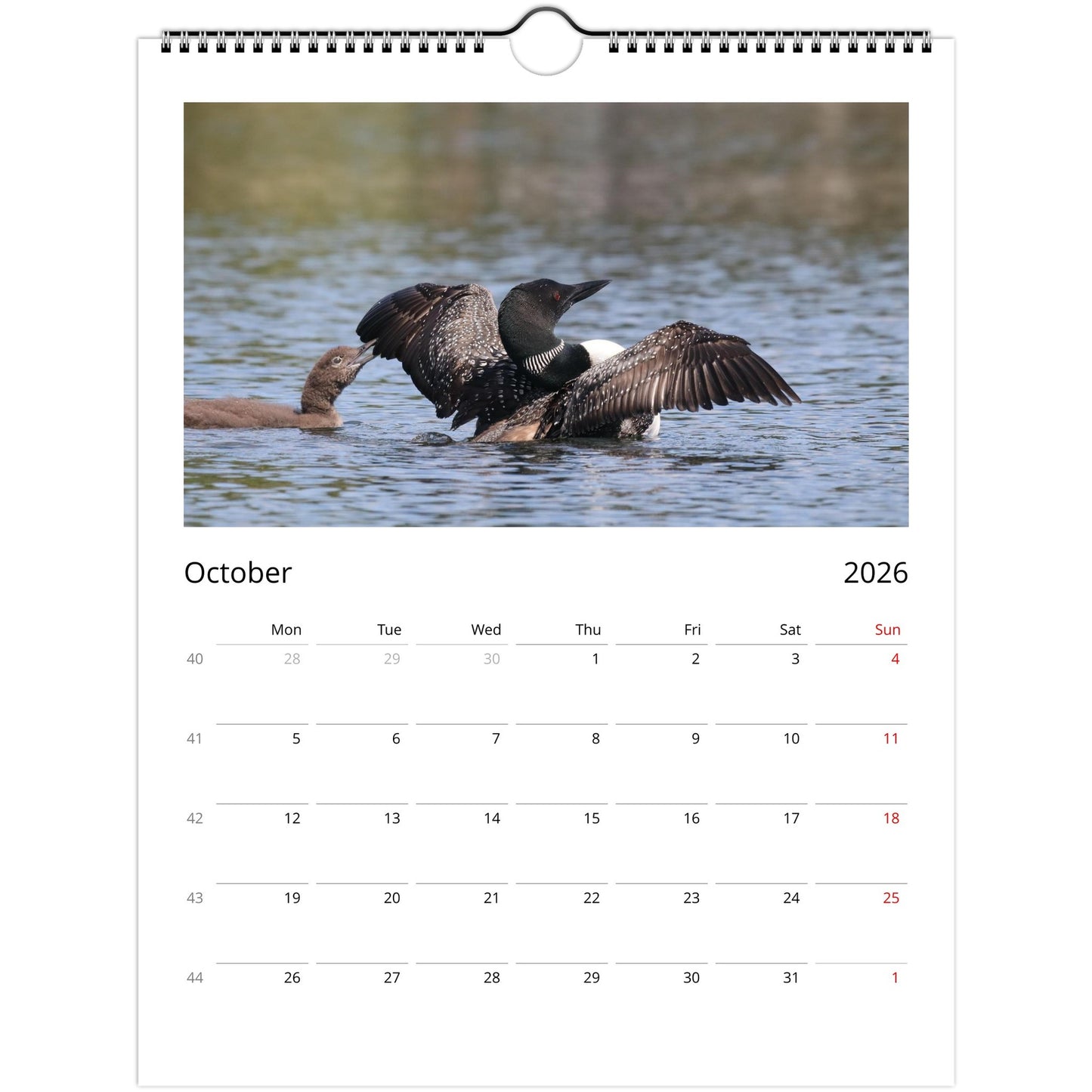 2b36be3f-1e88-495e-b1c4-d20445de956f