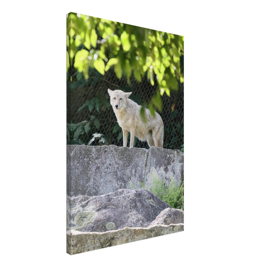 351e81eb-d57d-4a4f-8fe7-824d3dd8f9ea