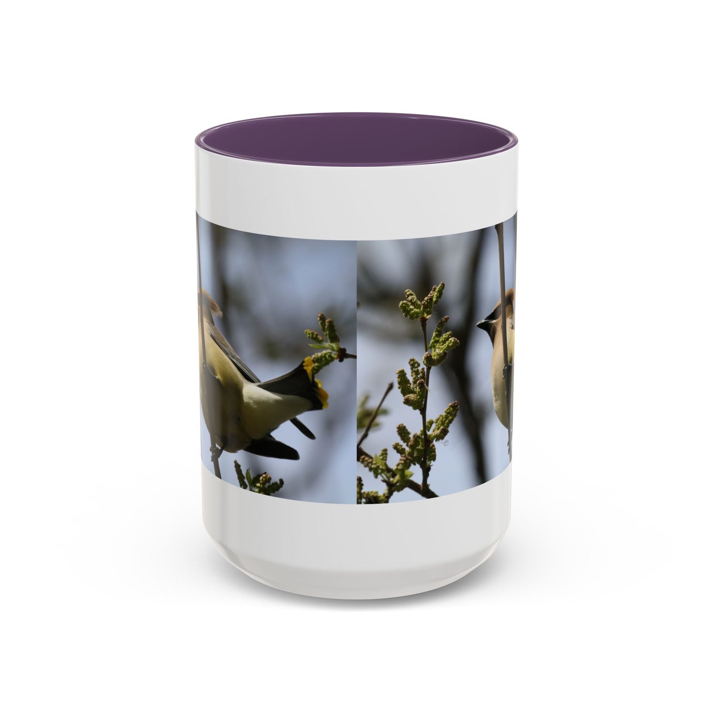 Cedar Waxwing Bird Photo Accent Coffee Mug