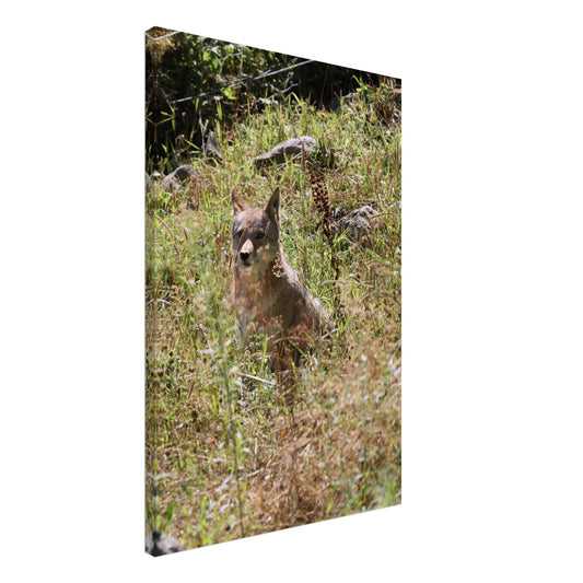 360110cf-9d47-4cb3-87d4-758c1f0c24d5