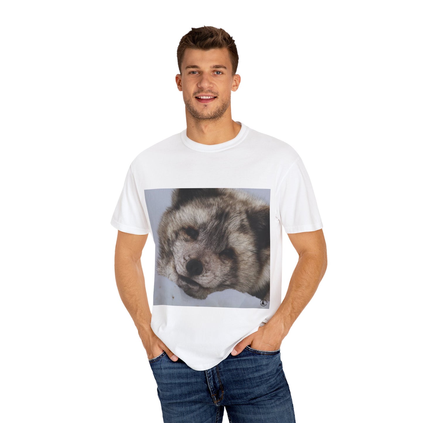 Arctic Tranquility: Serene Wildlife Portrait, Arctic Fox Close-Up Photographyphotography shirts