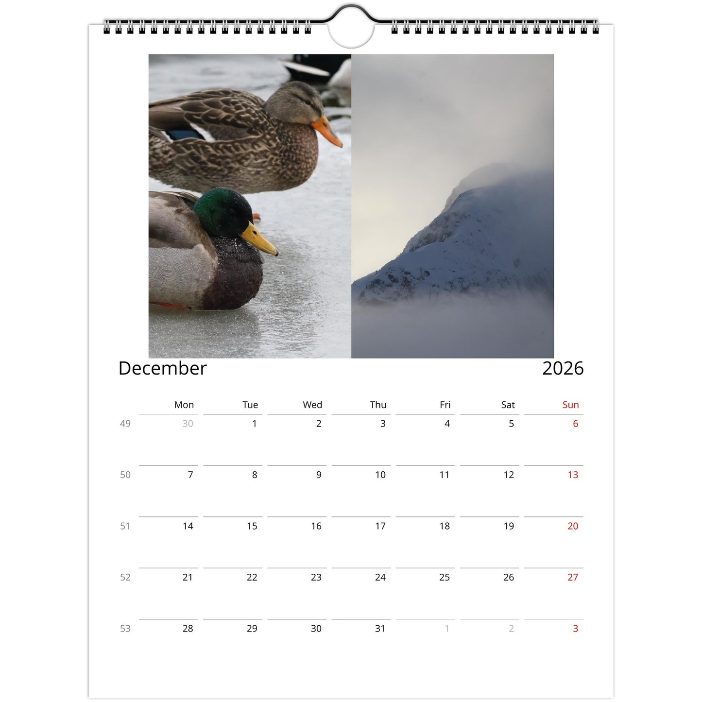 544cd217-b537-4861-92b7-69c5d4958420