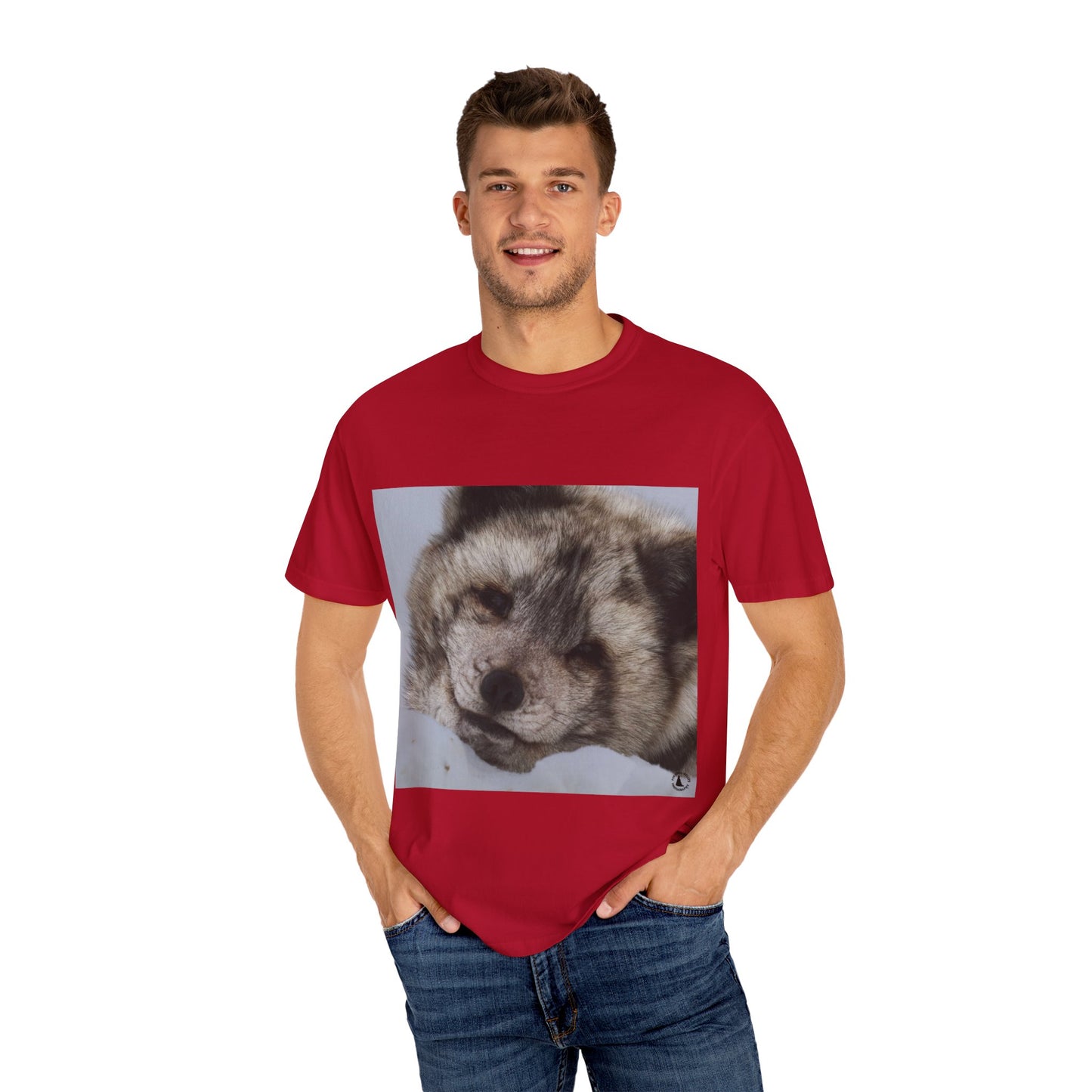 Arctic Tranquility: Serene Wildlife Portrait, Arctic Fox Close-Up Photographyphotography shirts