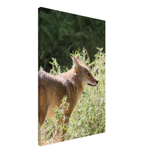 633a8729-b52a-47f0-aea2-bba0505ff35d