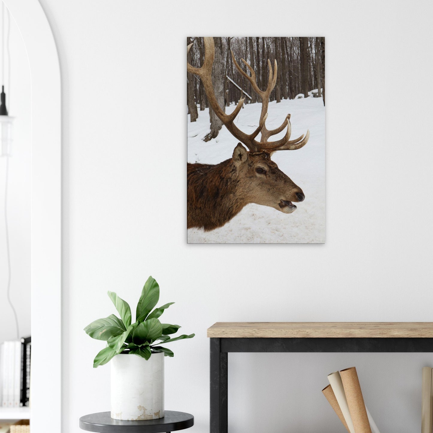 7e9e83c7-1b30-485f-b7f4-ae03f35cd226