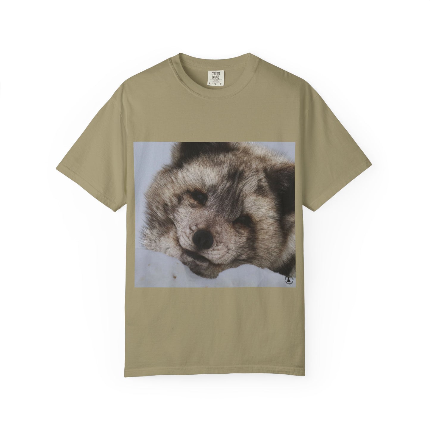 Arctic Tranquility: Serene Wildlife Portrait, Arctic Fox Close-Up Photographyphotography shirts