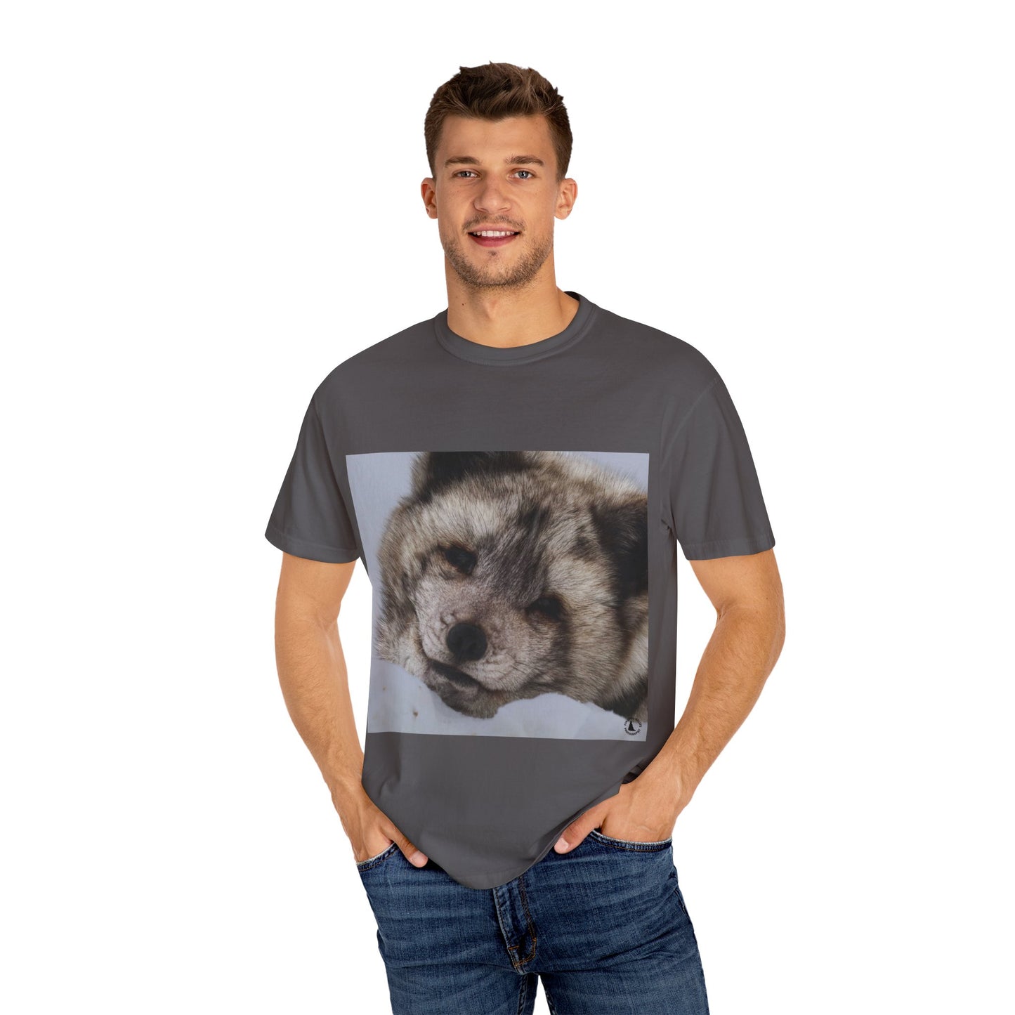 Arctic Tranquility: Serene Wildlife Portrait, Arctic Fox Close-Up Photographyphotography shirts