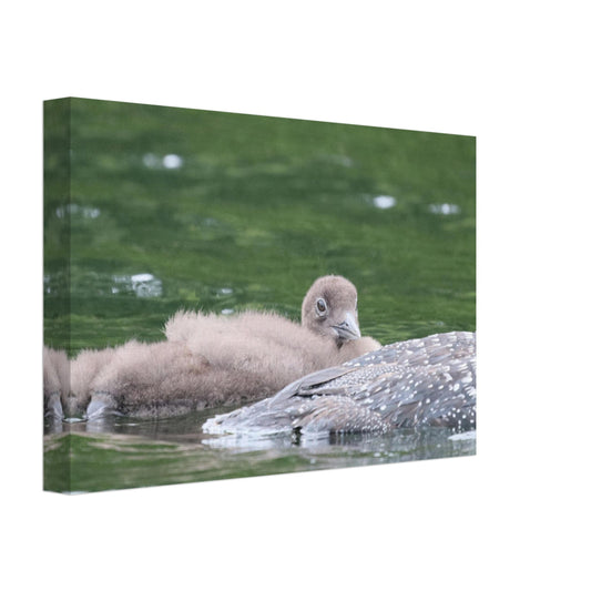 821f42d6-fe2b-4ea0-8a47-c1189b86abfb