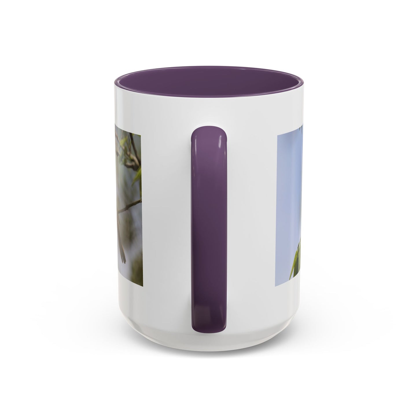 Baltimore Oriole Coffee Mug — Birdwatching Accent Mug (11/15oz)