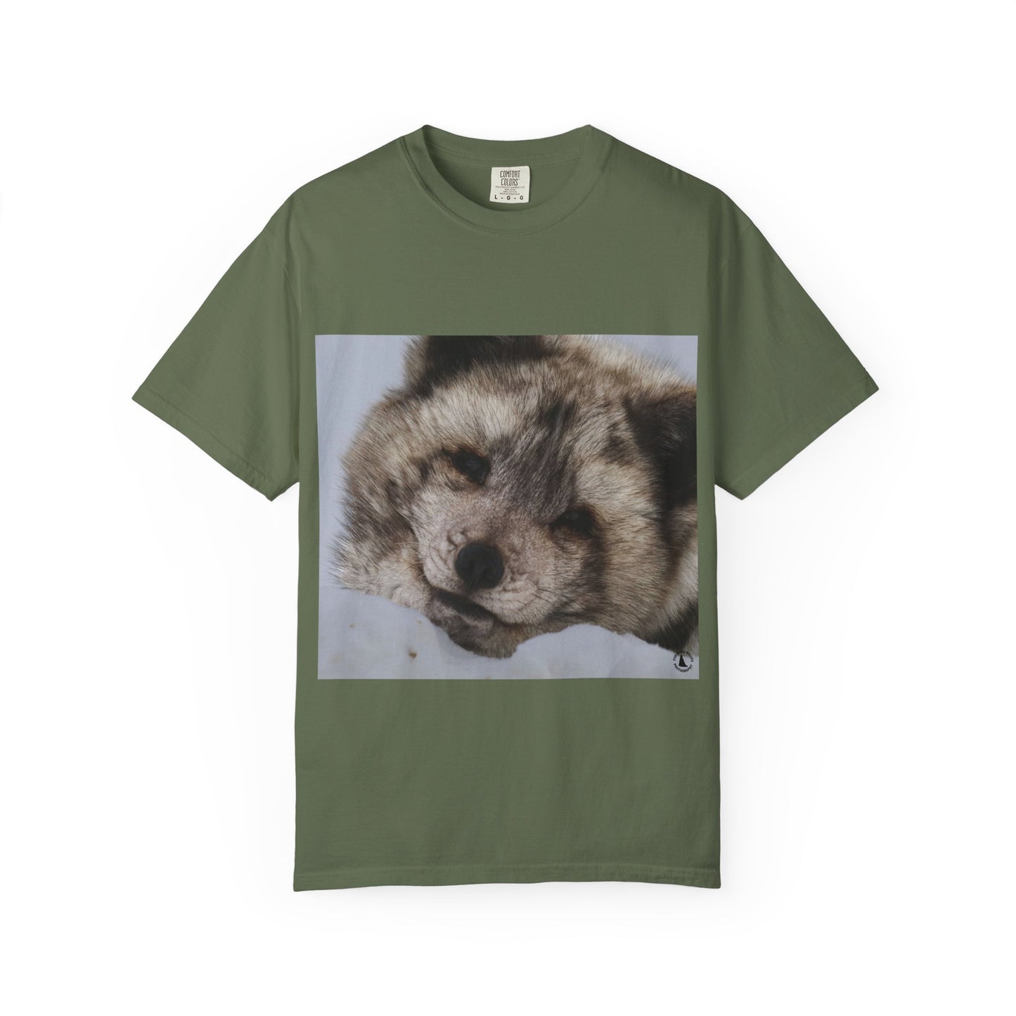 Arctic Tranquility: Serene Wildlife Portrait, Arctic Fox Close-Up Photographyphotography shirts