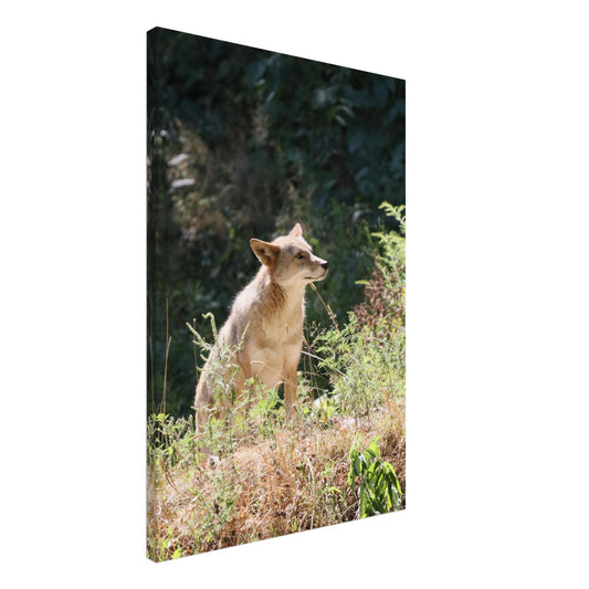 a8cbcbe8-8d92-4829-a612-8a81320363ac