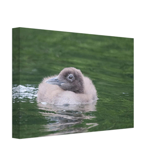 a9067e6f-2051-4c70-8e75-cb9a5c2f03f7