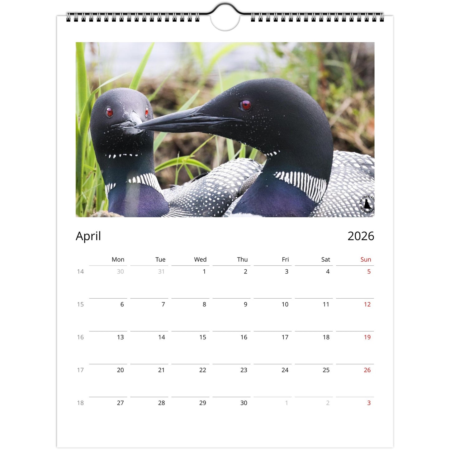 bdb00113-ff9d-4204-8ec9-72cc12b3c6c5