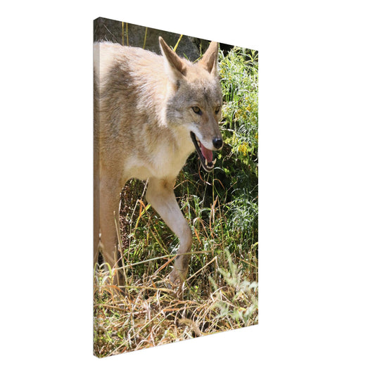 f0123aa3-19ec-48be-88b9-068135e11f4e