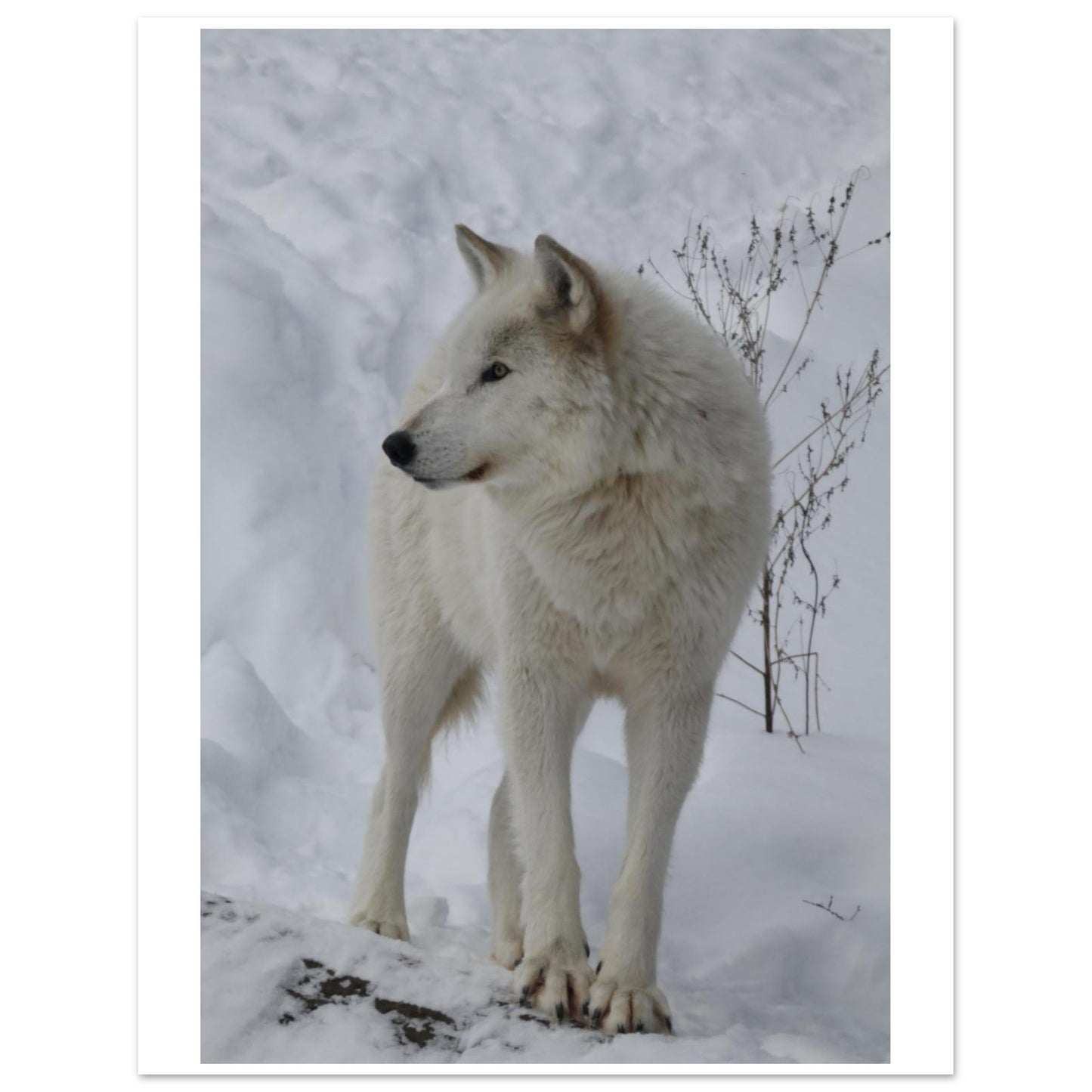 00819659-953f-4ad9-bae7-fed4d1b26ee1