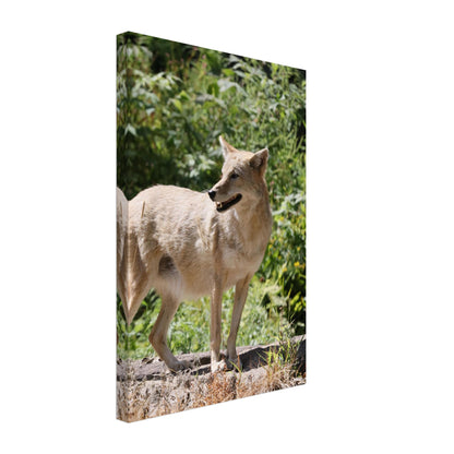 018bf6cf-ad31-46dd-b82d-38e96cc6d2f1