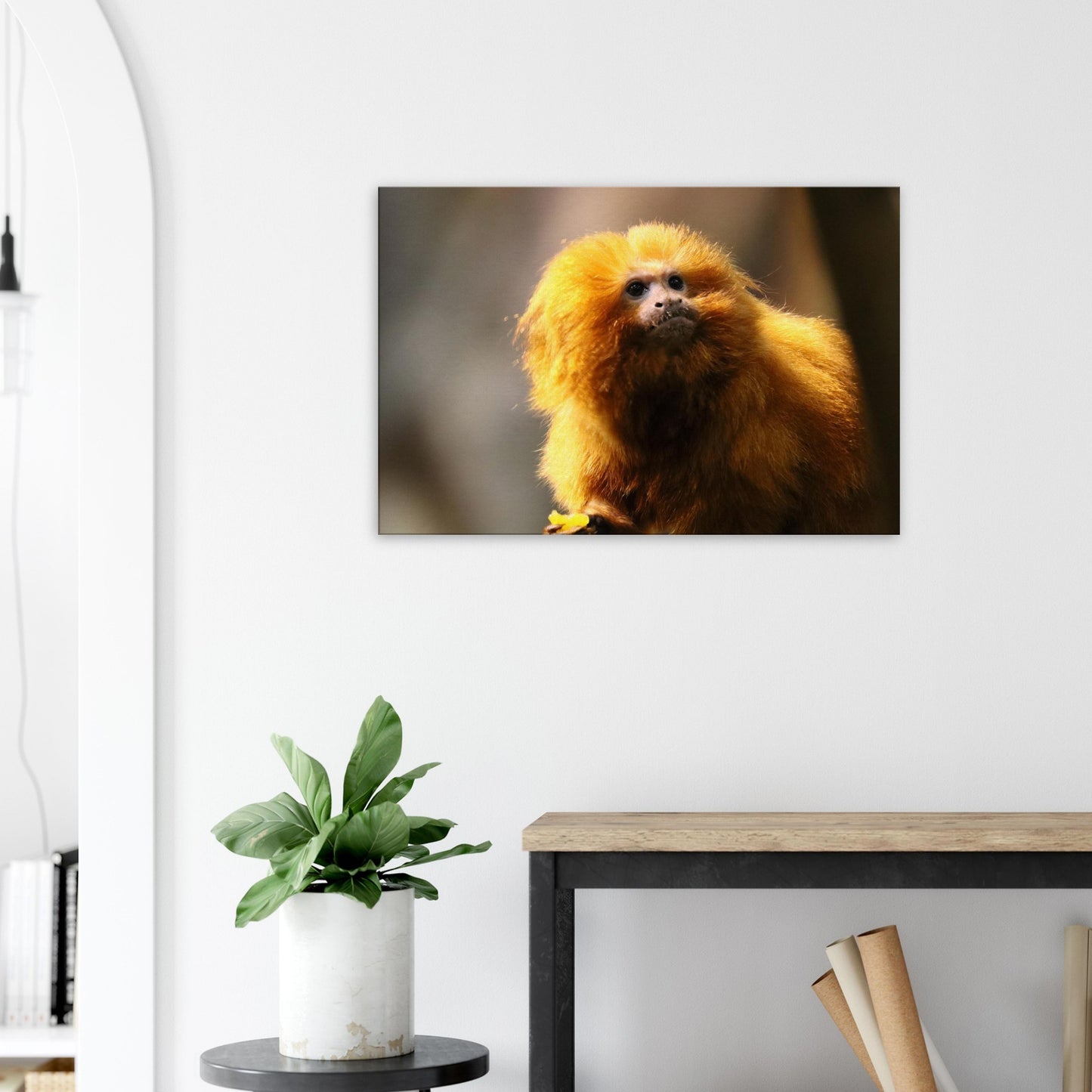 02081e1d-9b5a-49df-8efc-39ea4da40c22