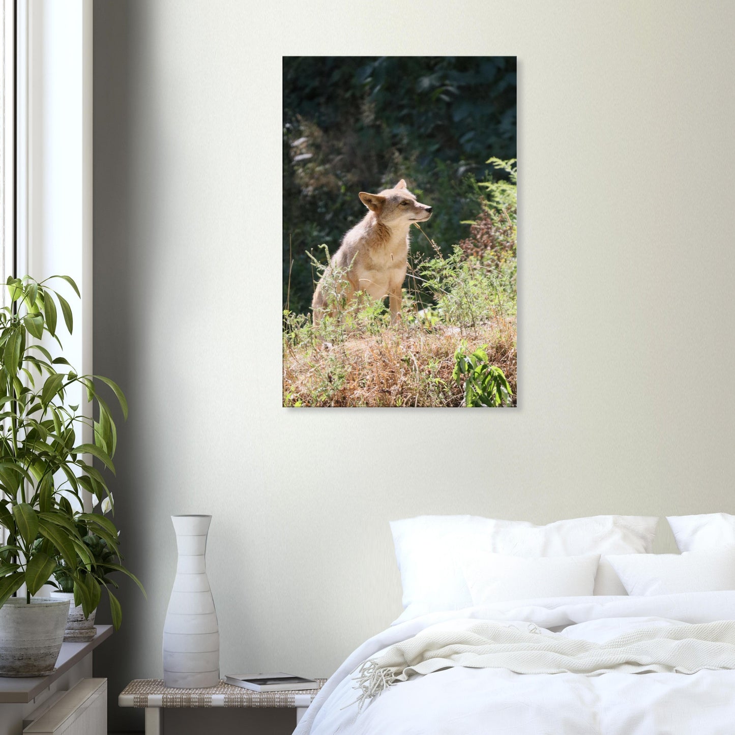 020ceaa4-9c57-4273-a562-ed0bf402ebec