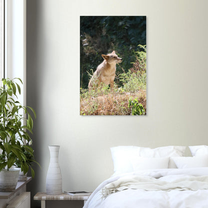 020ceaa4-9c57-4273-a562-ed0bf402ebec