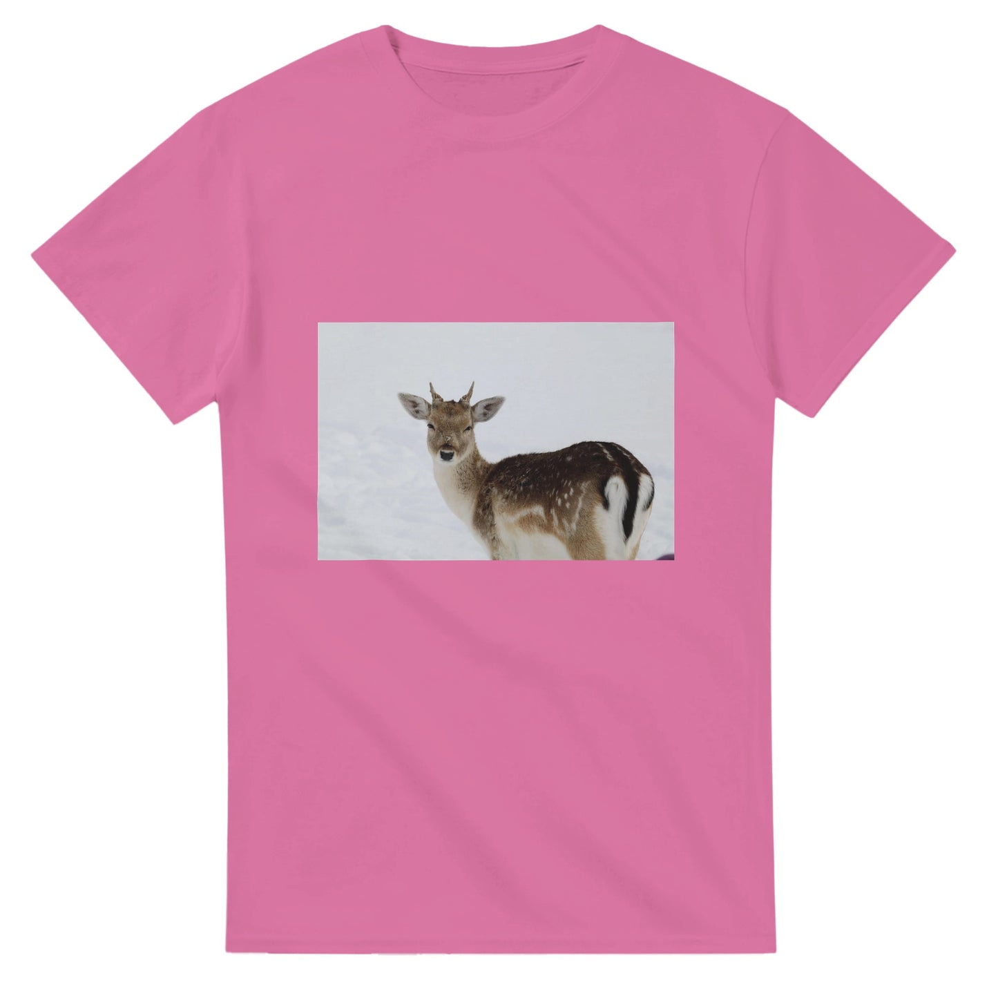 02ea53df-a9dd-4cb6-b969-9fe333e0a373