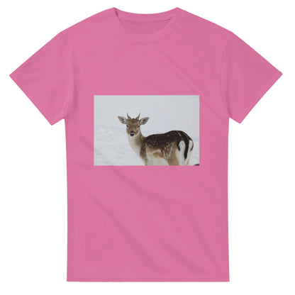 02ea53df-a9dd-4cb6-b969-9fe333e0a373