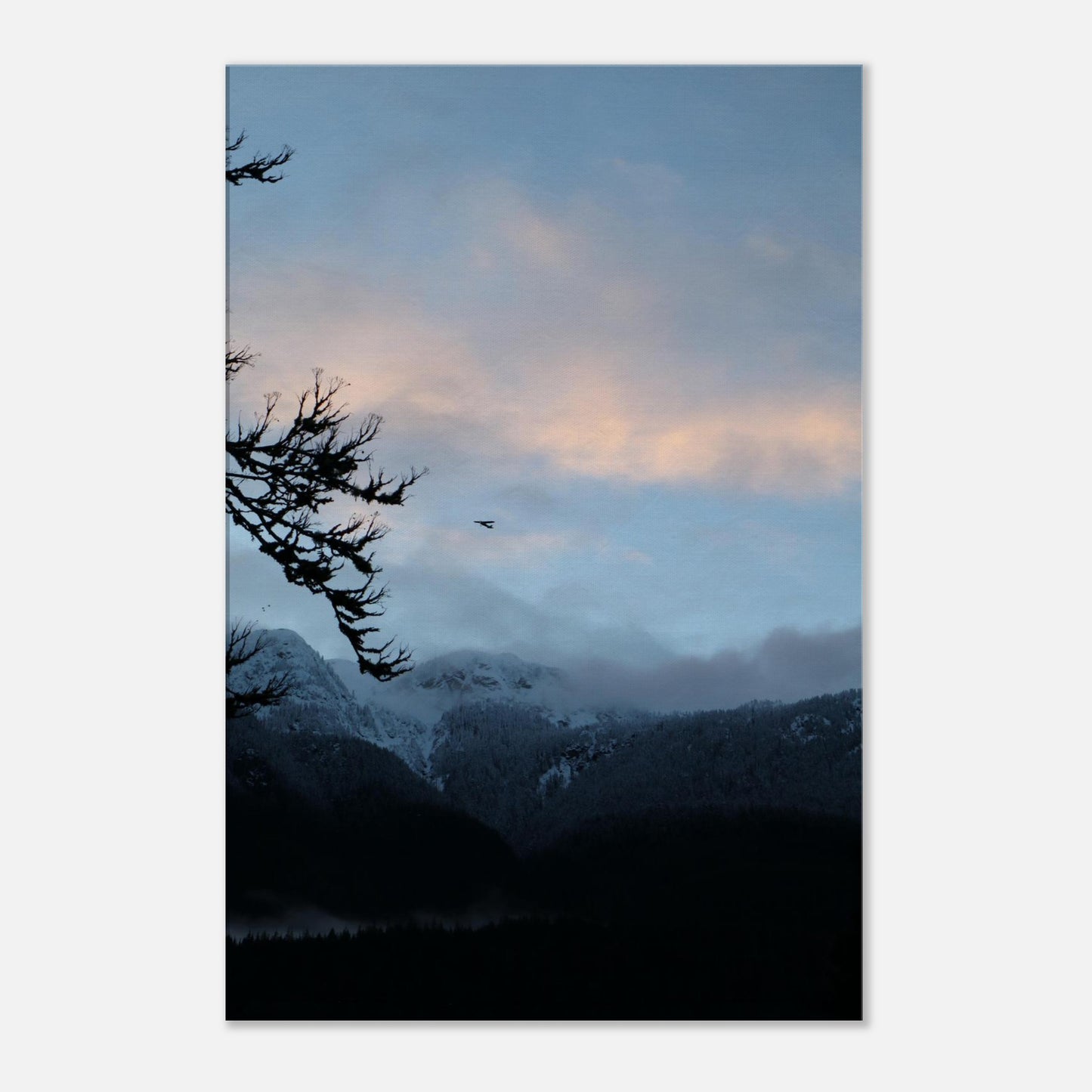03000591-d5bb-42c8-bc2c-7d4c10aa99af