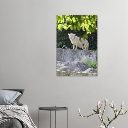 0317b0ef-9db7-4f5b-ad43-4bb401062aa8