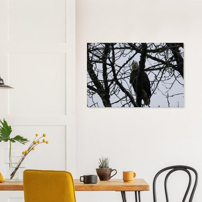 031c1949-ae57-4538-8737-045b18815857