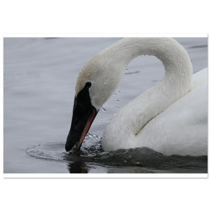 039ecc21-9359-4ae2-99b2-64fa9e3da298