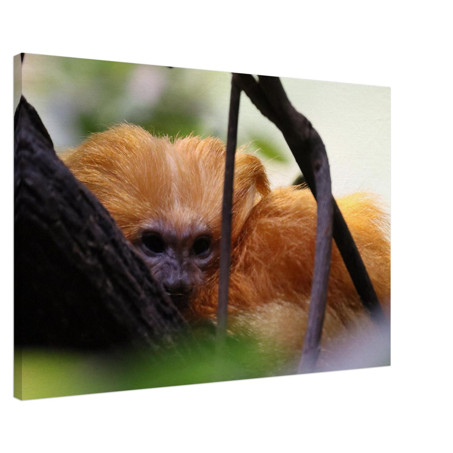 040af2cd-a77c-4707-a0dc-de112a0ef60c