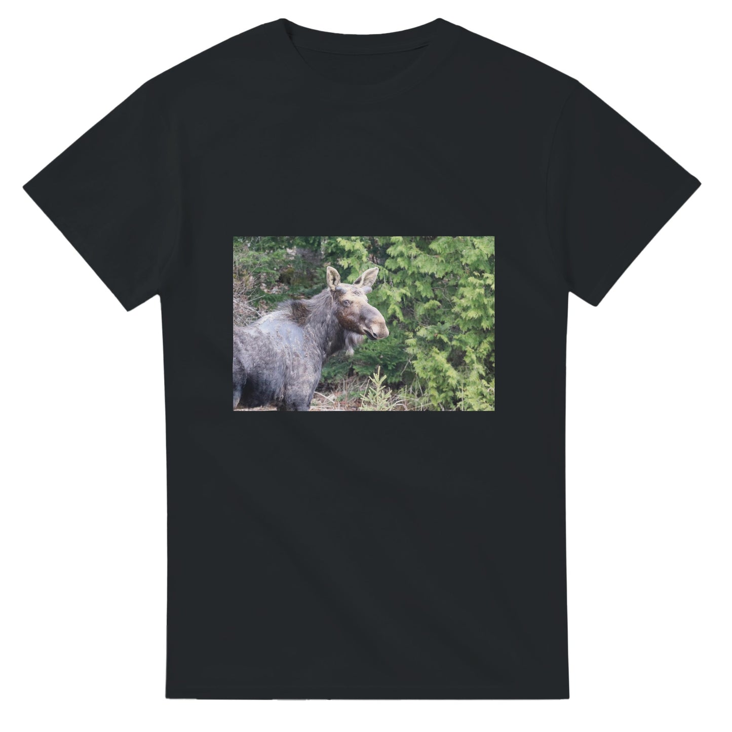 04671a37-636b-44ab-aada-4784e197568e