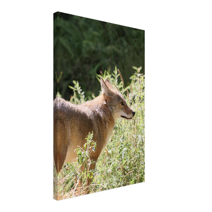 05766b5b-c73b-4102-84f8-b9b8d25a37a2