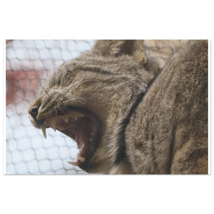 06067346-098a-4af0-87e2-931b190cf31f